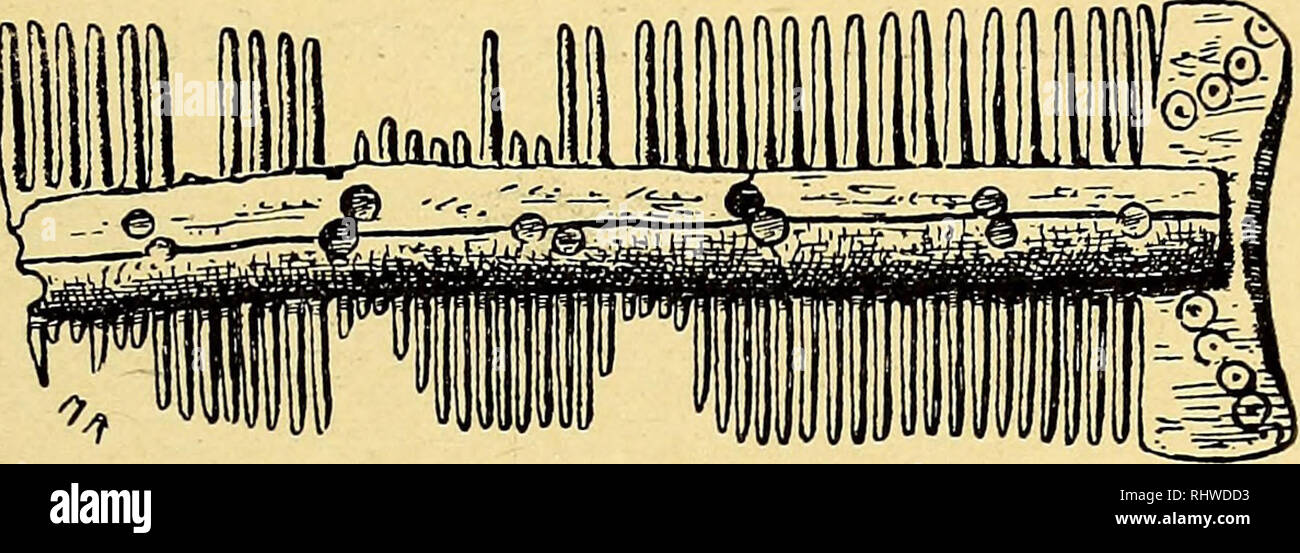 . Bergens Museums aarbok. 1911] Hardangerviddens ældste befolkning1. 41 I det indre (bakre) kammer blev der gravet endel i over- flaten og der blev gjort et enkelt stik gjennem lagene ved midten av gulvet, like ved tvermuren. Her fandtes: 68 stkr. flint, hvorav 1 skraper (fig. 38), 2 pilespidser (fig. 39 a og b), og resten spon og fliser, 1 brudstykke av skiferpil av arktisk form (fig. 40), samt av jern: 1 klinknagle og 1 brudstykke av beslag eller lig- nende.. Fig. 42. 2/3 størrelse. For fuldstændighets og sammenlignings skyld er ogsaa avbildet de 2 brud stykker av arktiske skiferpiler som ti Stock Photo