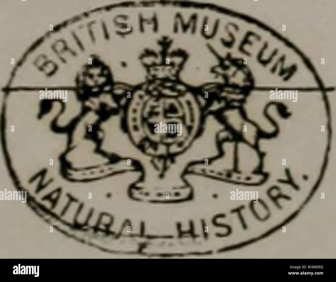 Bericht A Ber Das Museum Francisco Carolinum 231 4 Ucbcrsicht