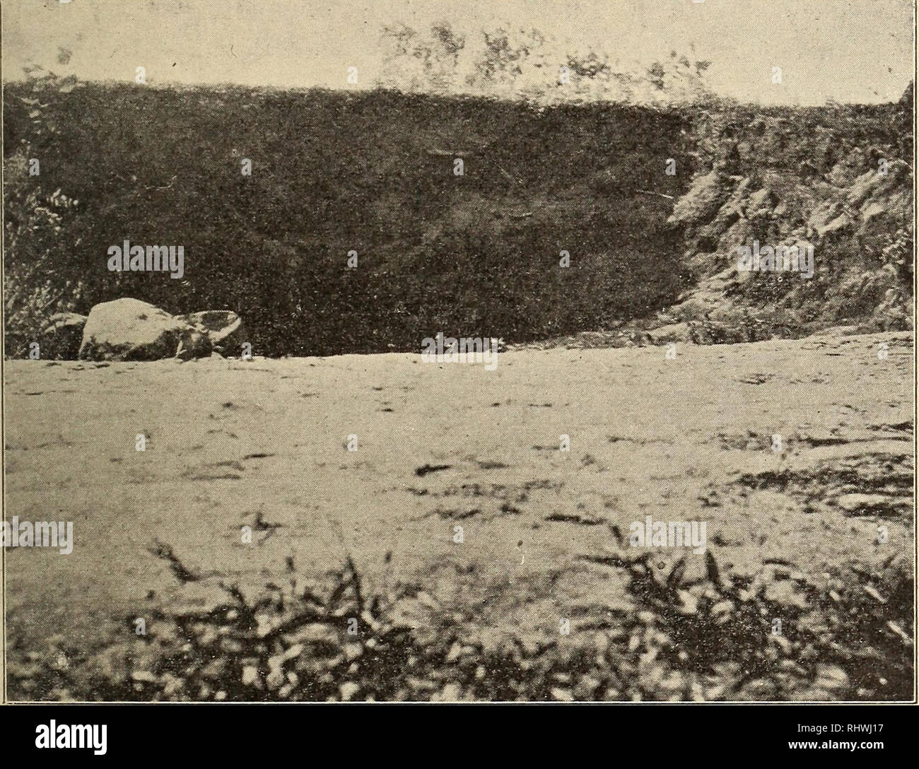 Tigeren hi-res stock photography and images - Alamy