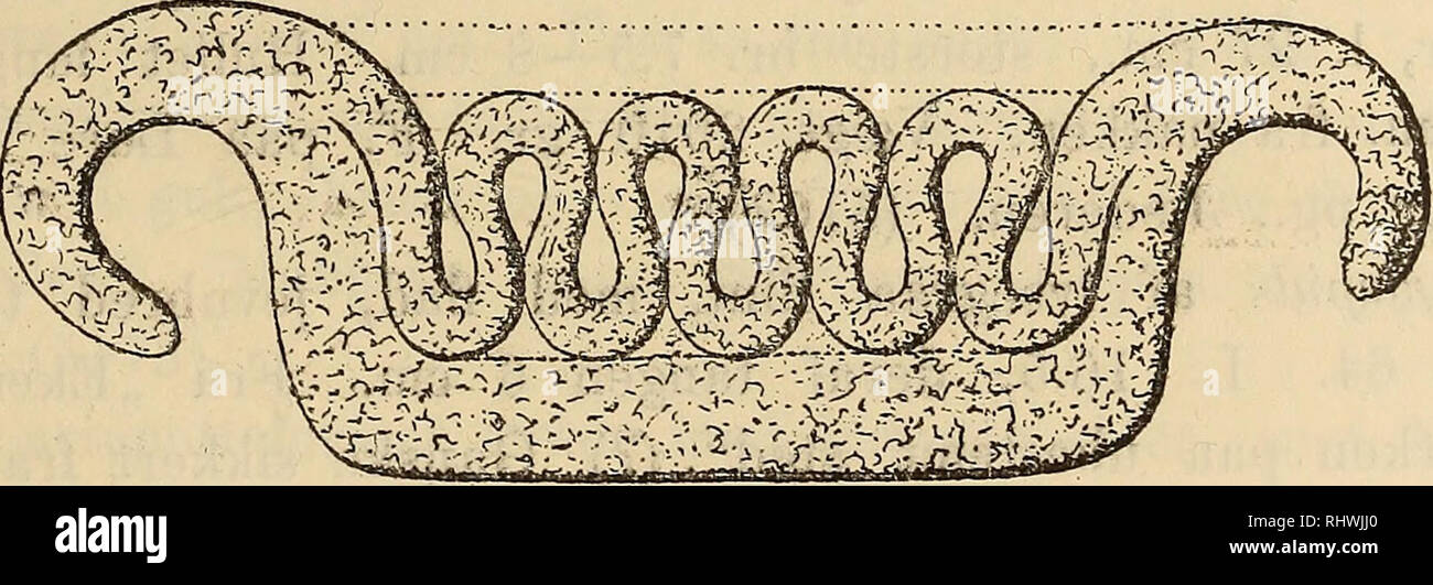 Bergens Museums aarbog. Science. 1896] Fortegnelse over indkomne ...