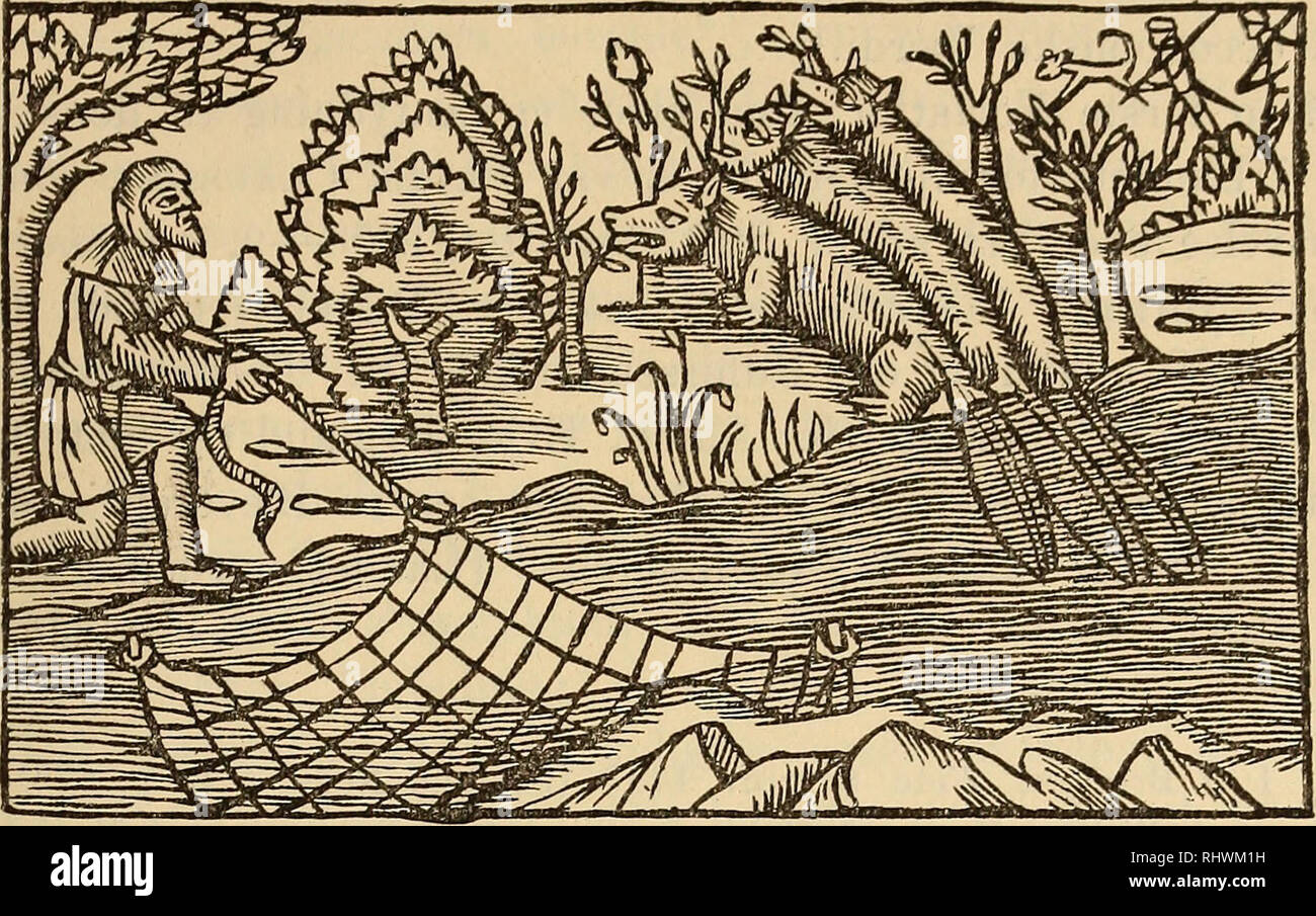 By olaus magnus hi-res stock photography and images - Page 3 - Alamy