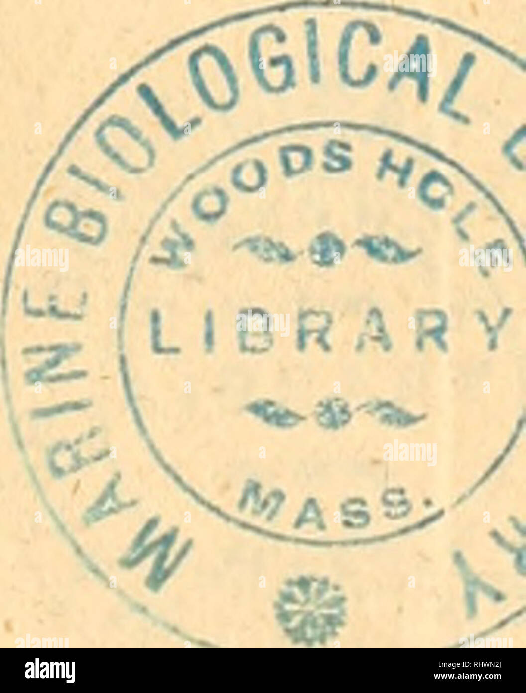 Download Am ende wird alles gut und wenn es nicht gut ist nicht das ist es ende pellicula Free HD Am Ende Wird Alles Gut Und Wenn Es Nicht Gut Ist Nicht Das Ist Es Ende Pellicula