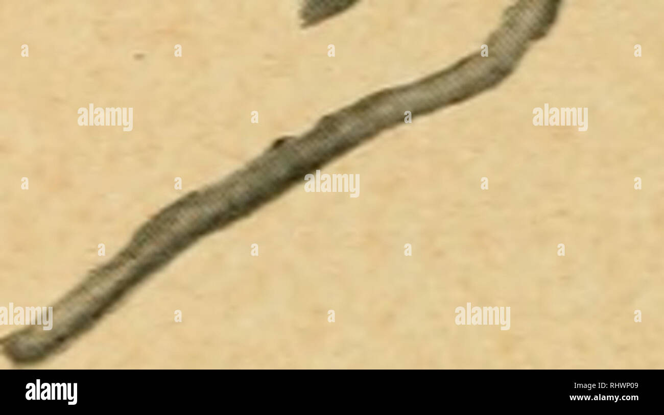 Number colons hi-res stock photography and images - Alamy