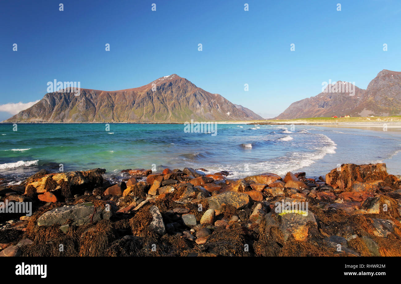 Beach on Lofoten islands in Norway Stock Photo