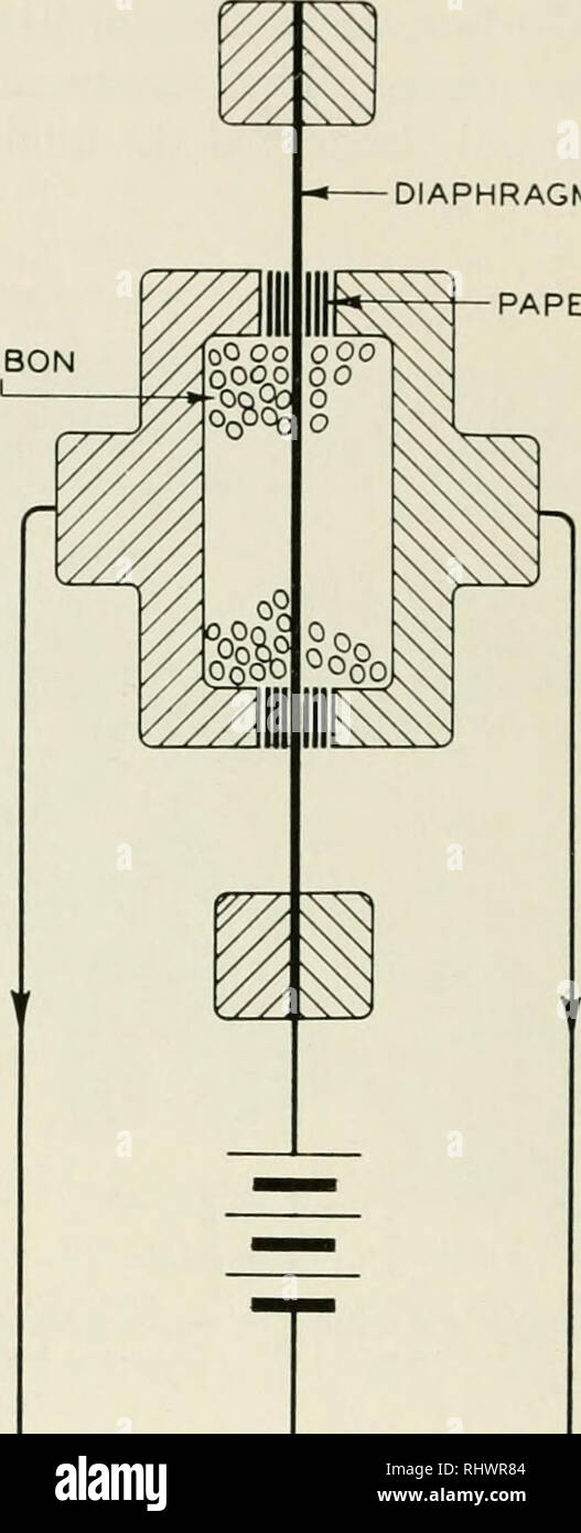 The Bell System technical journal . .^^^^^ kwvvvC-. ( k ^ k t k k-rt Ik k k  k k k k I.WVrr-.W l, l, l, l l, l, l, l