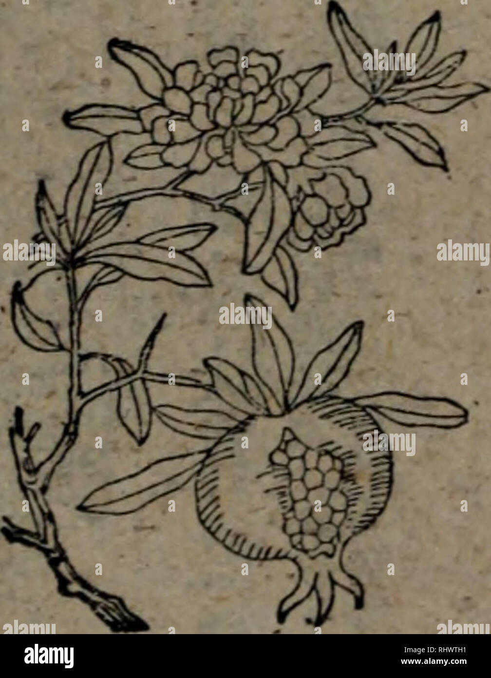 Ut 鬼 滅 Clearance