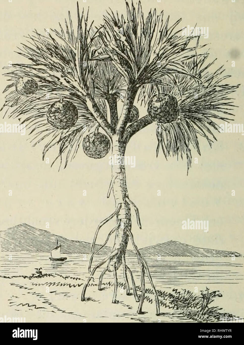 Eenvoudige Omtrek Waterbel Doodle Vector Ontwerp Sjabloon Vector Sjabloon  Afbeelding Downloaden Op Pngtree, image size:985x1390