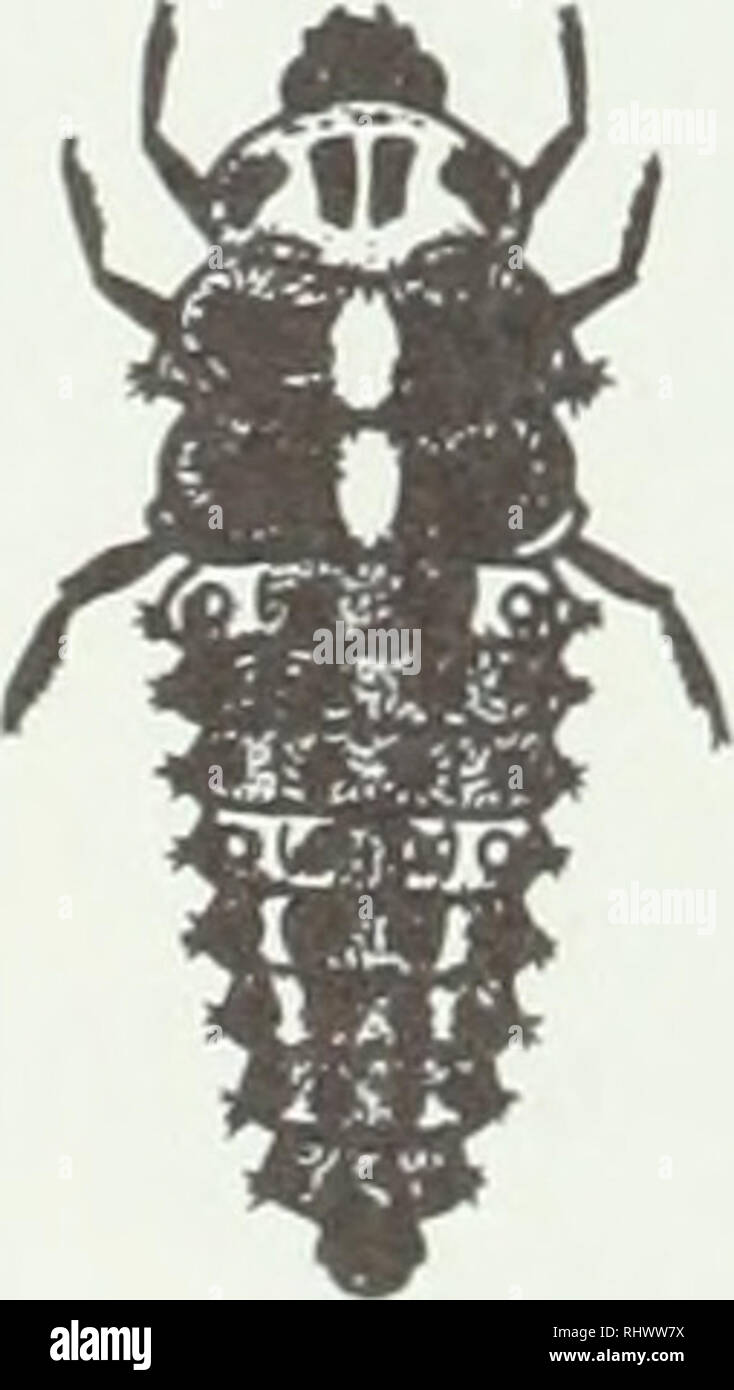 . Beneficial insects and mites. Mites; Pests; Insects. 8 INSECTS AND MITES AVAILABLE FOR