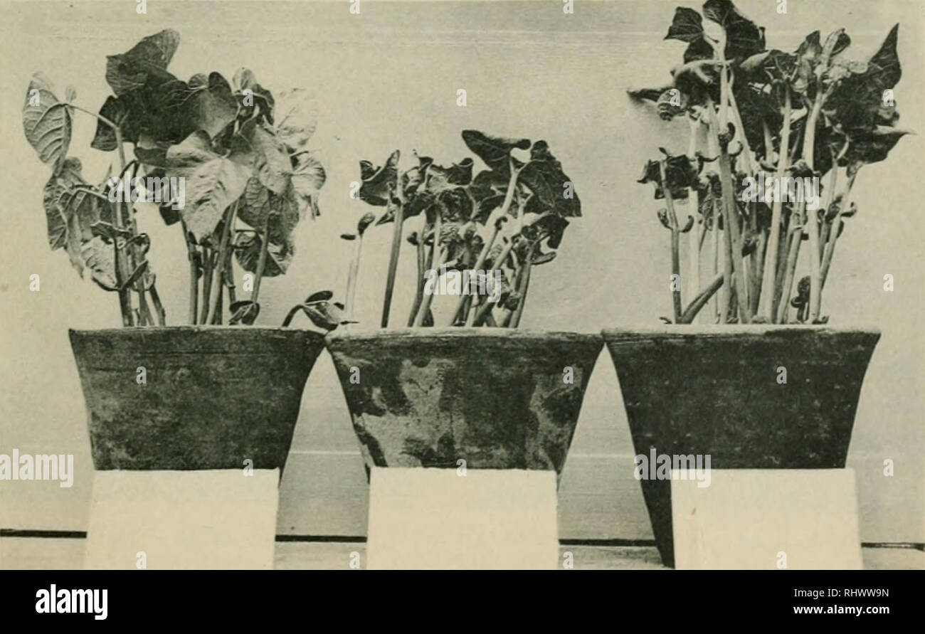 2 185 Stock Photos 2 185 Stock Images Page 9 Alamy