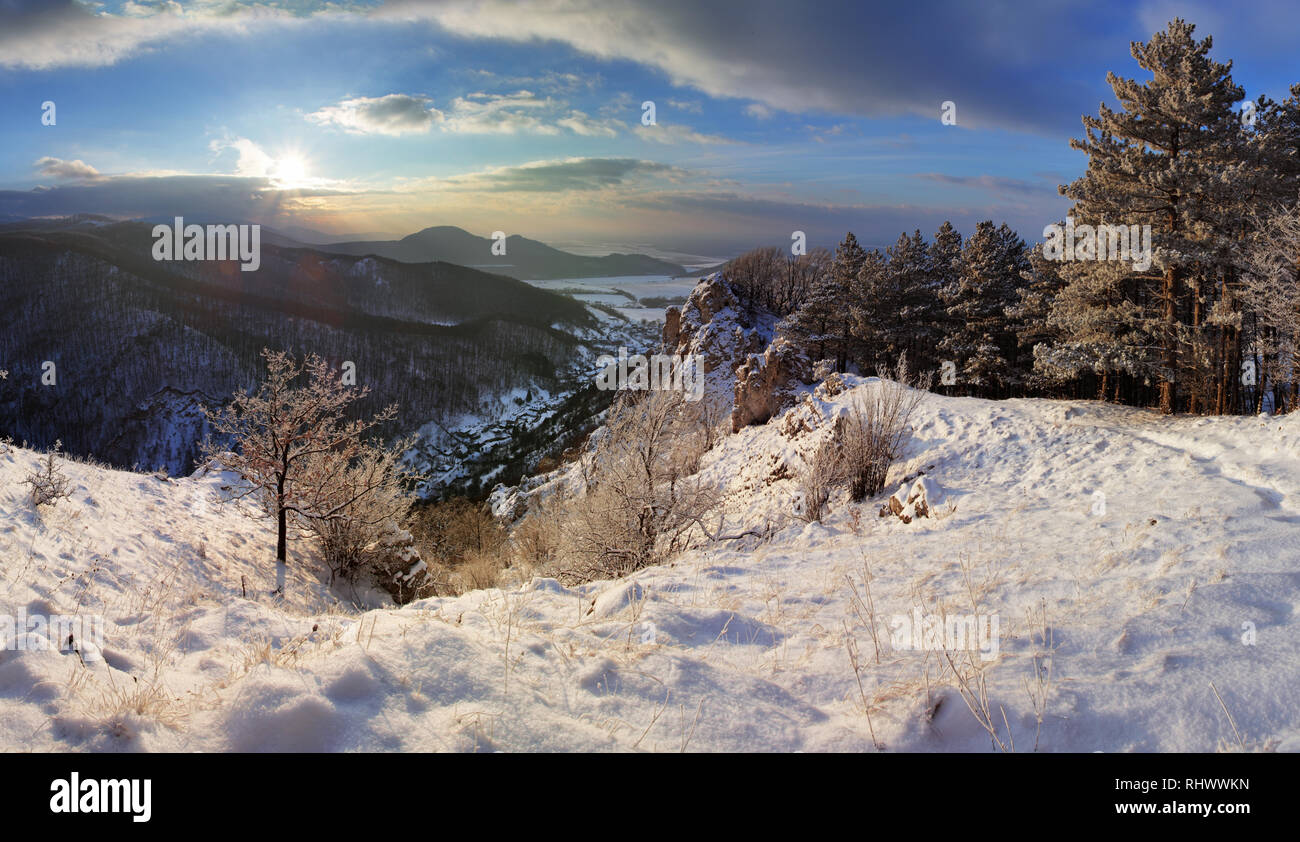 Forest mountain landscape at winter Stock Photo