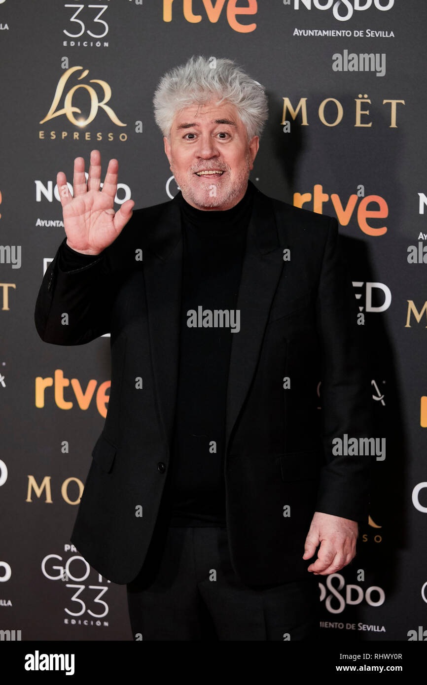 Pedro Almodovar attends the Goya Cinema Awards 2019 at FIBES Conference and Exhibition Centre. Stock Photo
