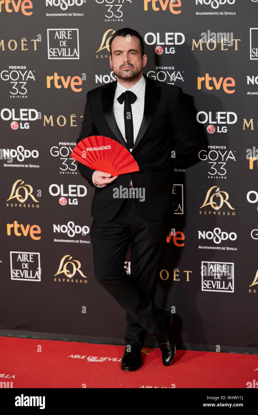 Nacho Vigalondo attends the Goya Cinema Awards 2019 at FIBES Conference and Exhibition Centre. Stock Photo