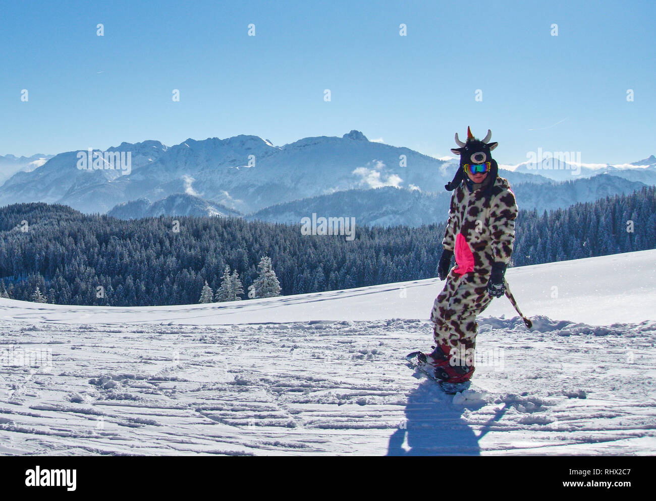 Nesselwang, Bavaria, Germany. 4th Feb 2019. A snowboarder with a cow ski  outfit at the ski arena Alpspitzbahn cable car at the mountain Alpspitz in  Nesselwang, Allgäu, Bavaria, Germany, February 04, 2019.