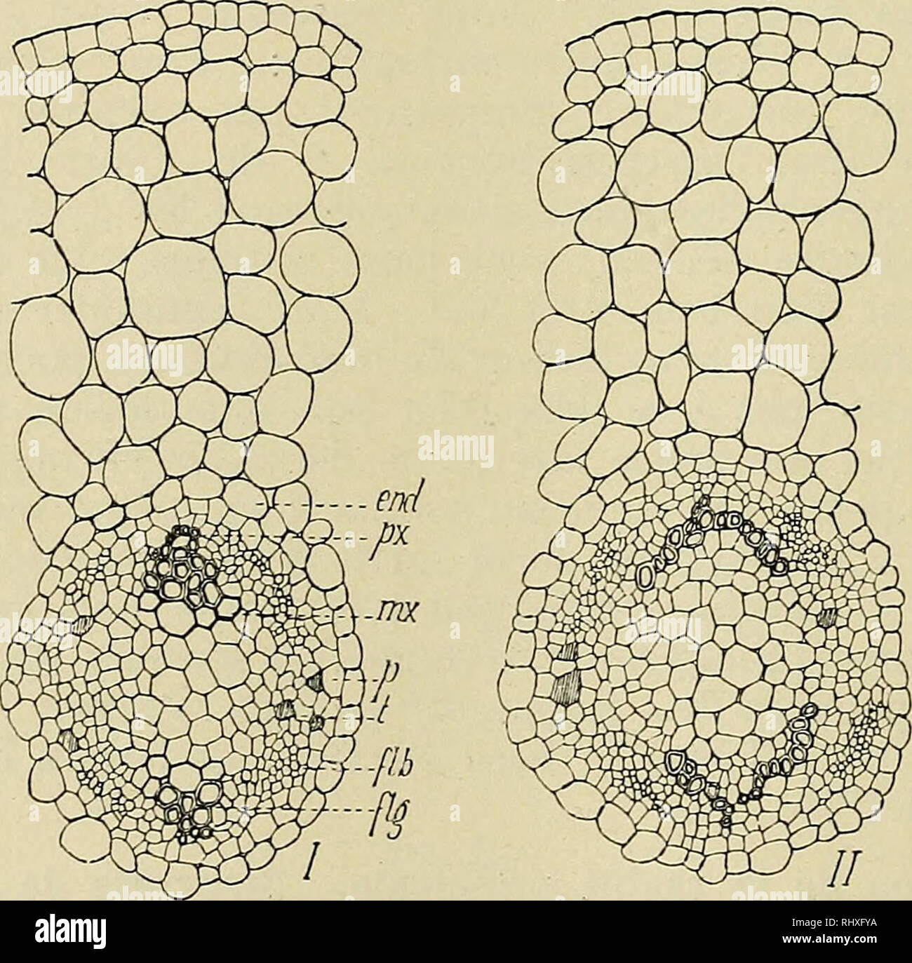 recouvertes high resolution stock photography and images alamy
