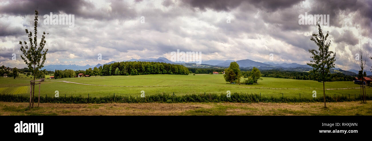 Rural landscape with wheat field and cloudy sky Stock Photo