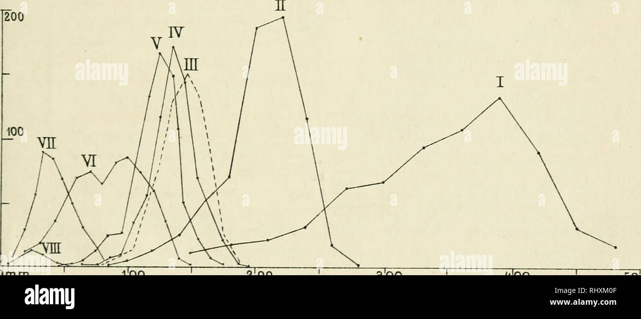 Beihefte Zum Botanischen Centralblatt Plants Ix Beitiefte Bot Ceotrala Letl 1900 Fndividuen Iv Quot Bt Zoo V A A Yi Tlj T 100 Y X Zxc A