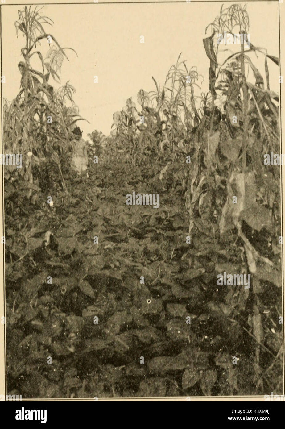 Albert Ii L Stock Photos Albert Ii L Stock Images Page 2 Alamy