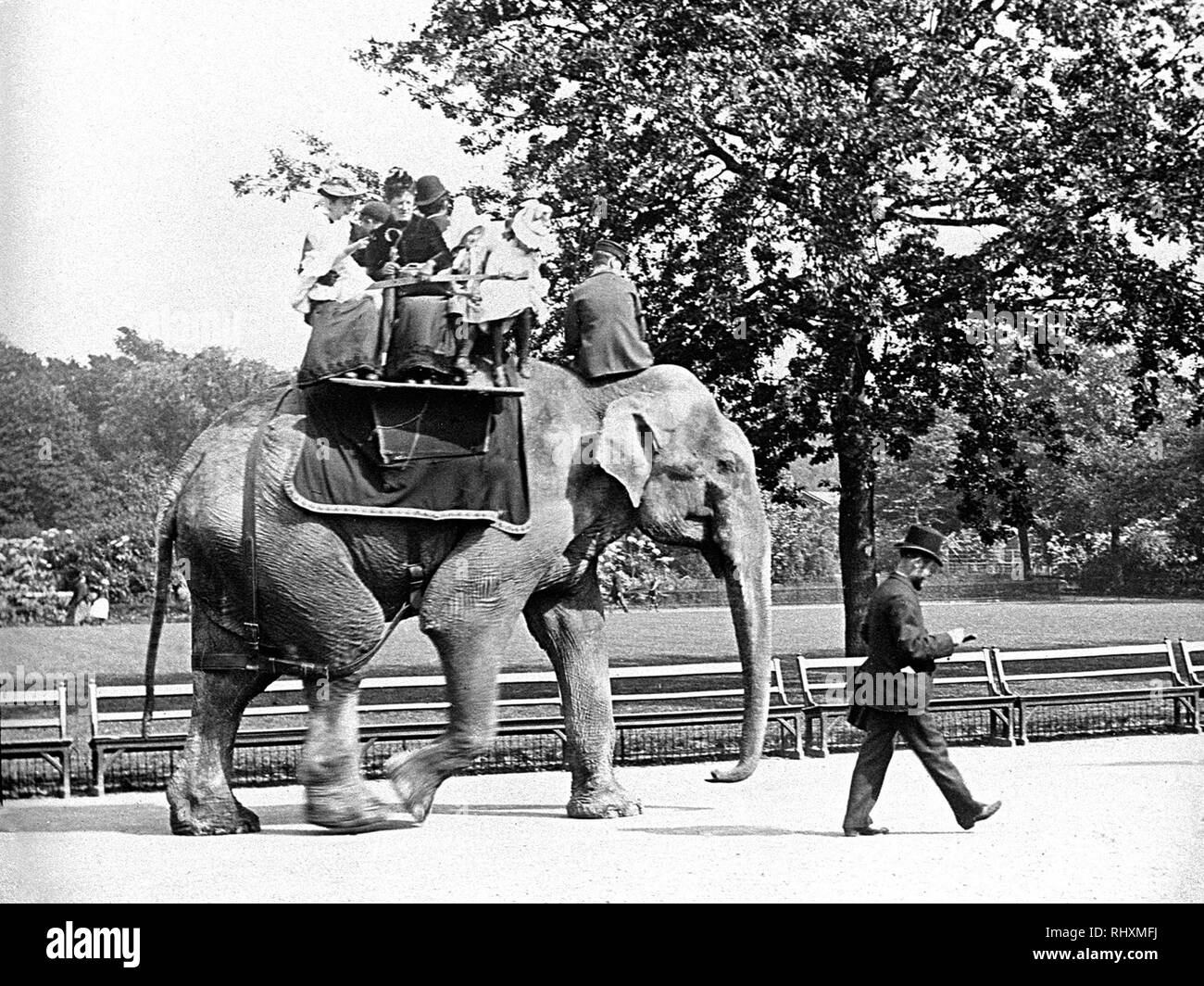 Elephant ride at Regents Park London Zoo Stock Photo Alamy