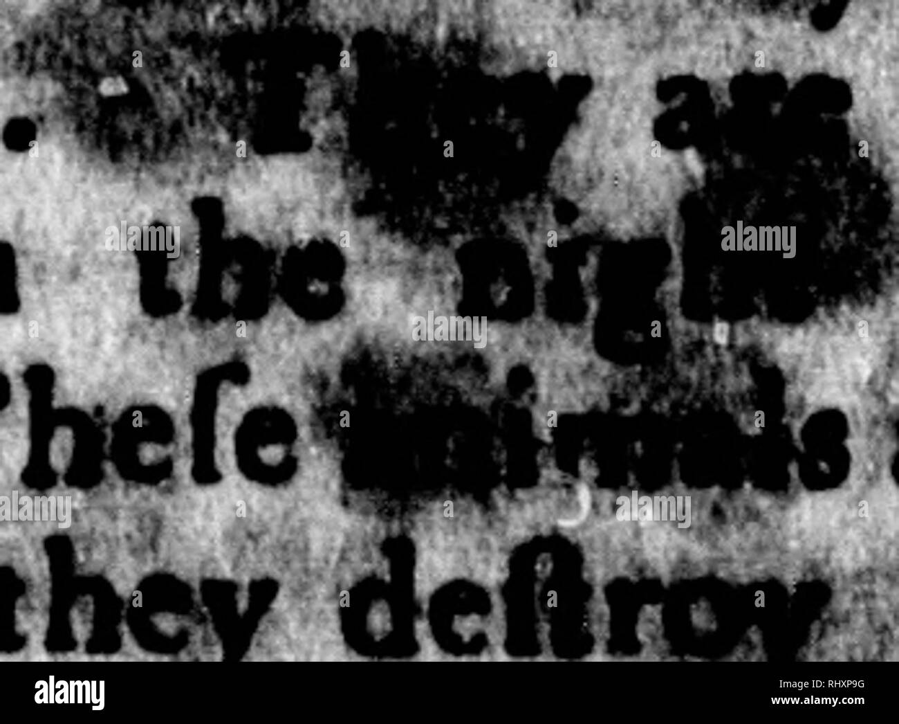 Page 7 - I Am Id High Resolution Stock Photography And Images - Alamy