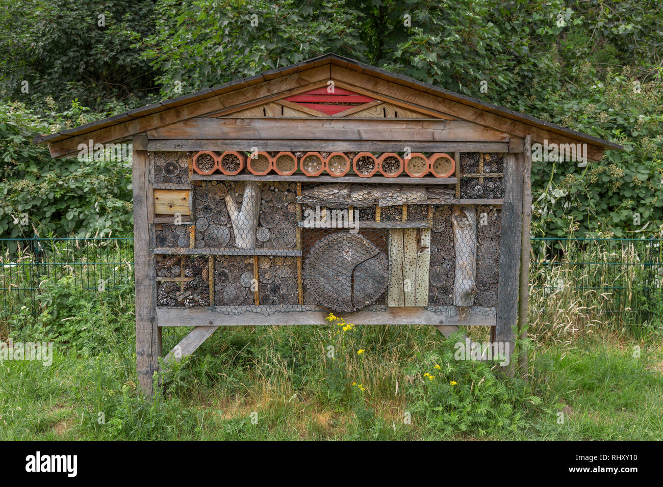 Rural insects hi-res stock photography and images - Alamy