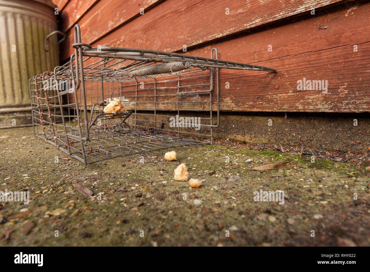 Humane Animal Trap Stock Photos & Humane Animal Trap Stock Images Alamy