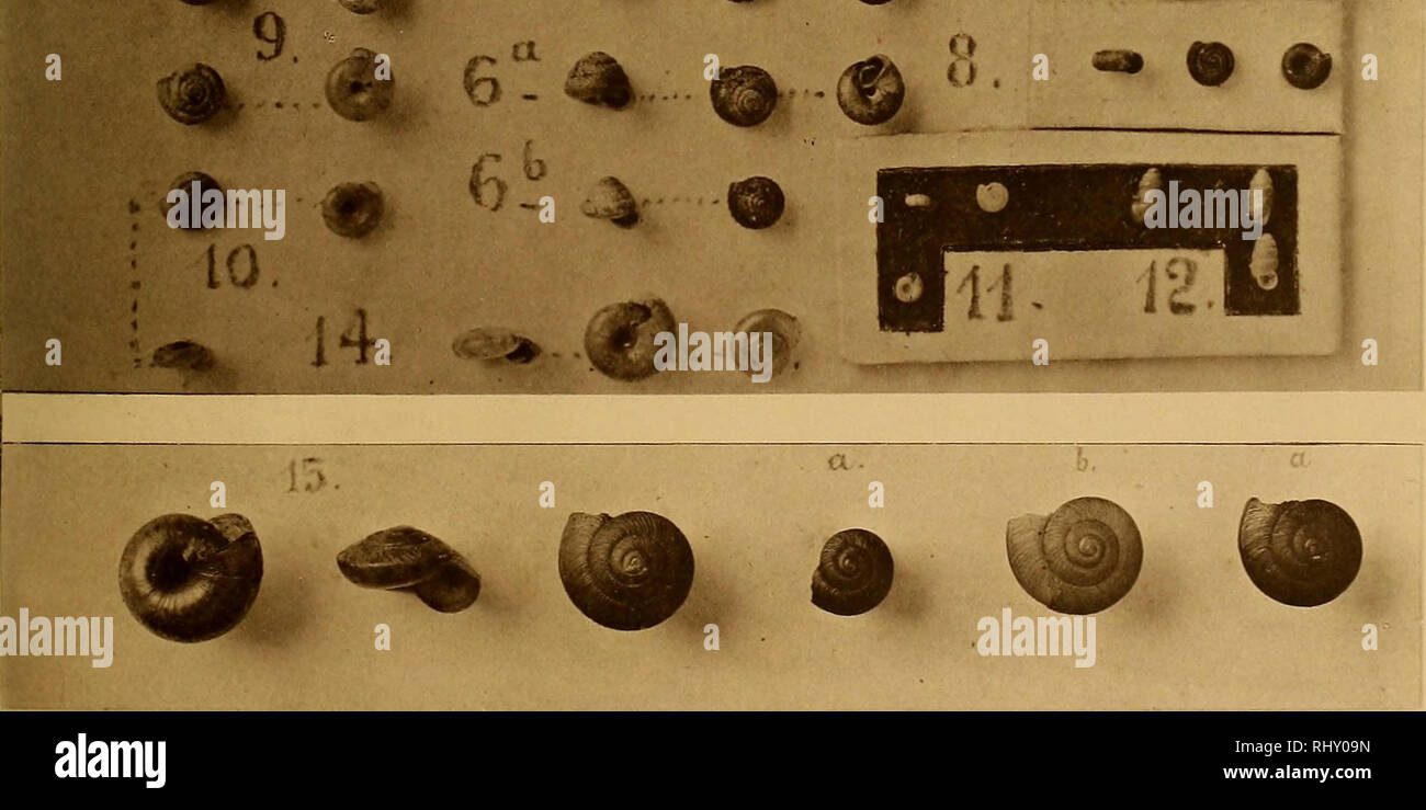 Page 5 4k Images High Resolution Stock Photography And Images Alamy