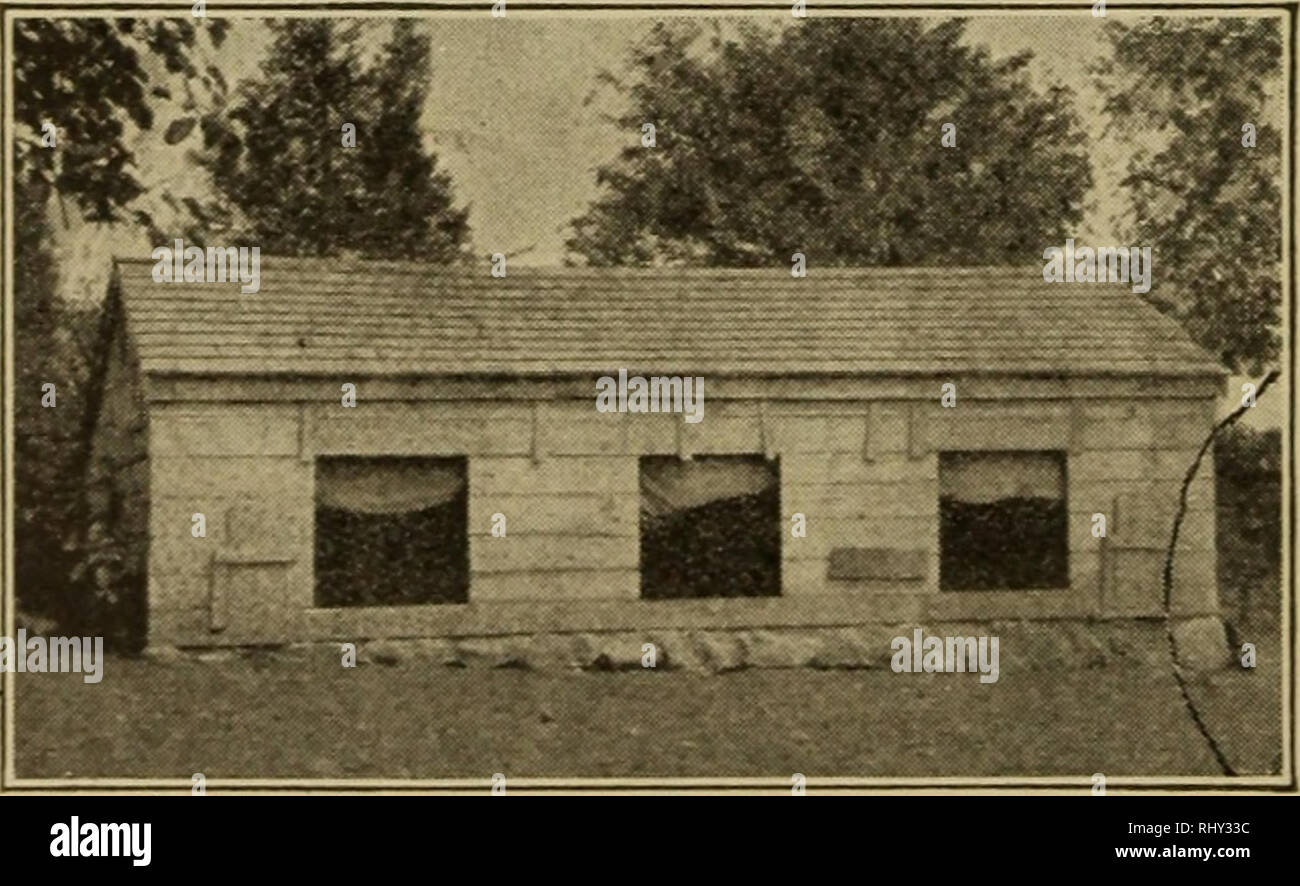 Beginnings In Animal Husbandry Livestock Poultry Trap J Door
