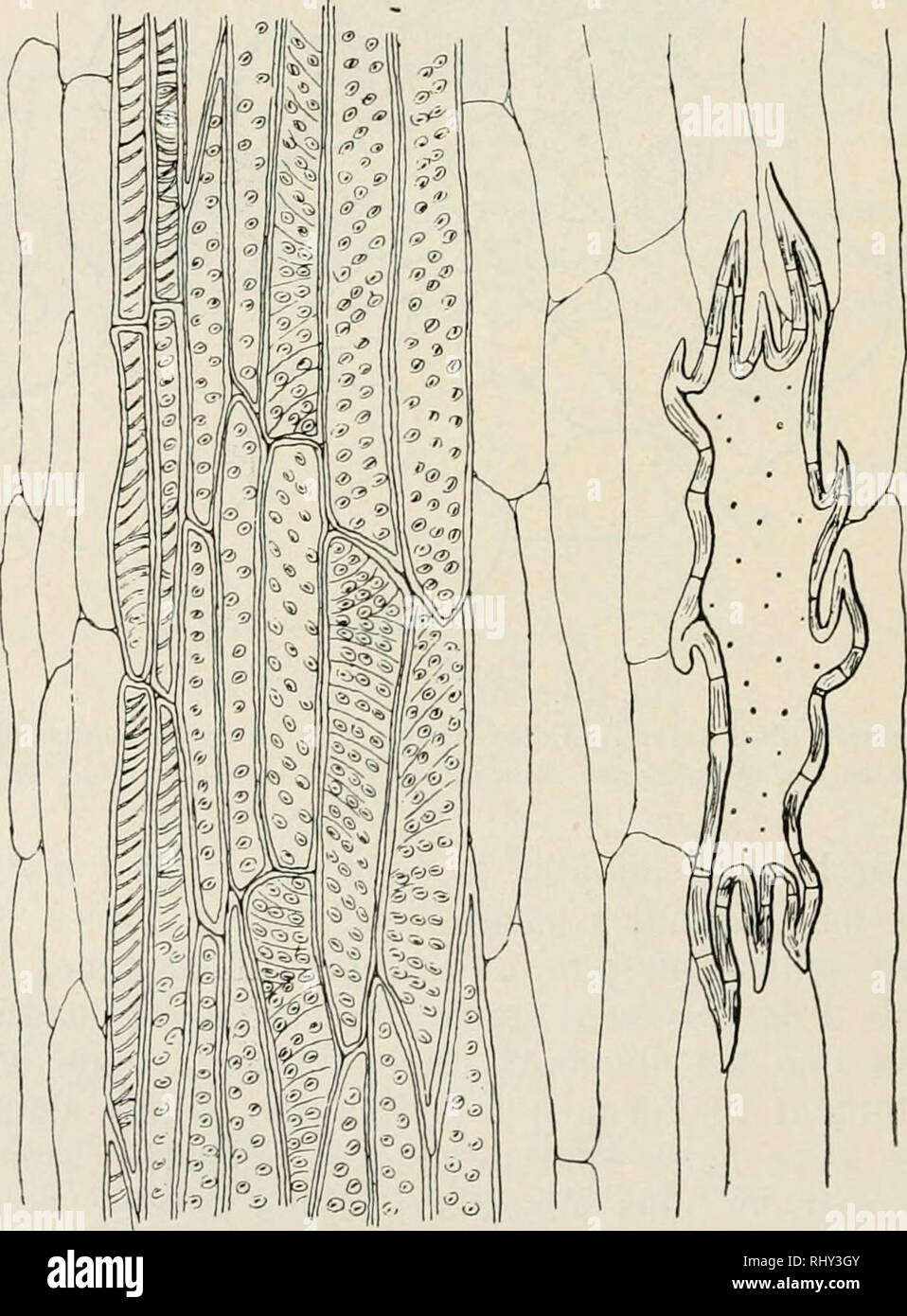 Cp Plus High Resolution Stock Photography And Images Alamy