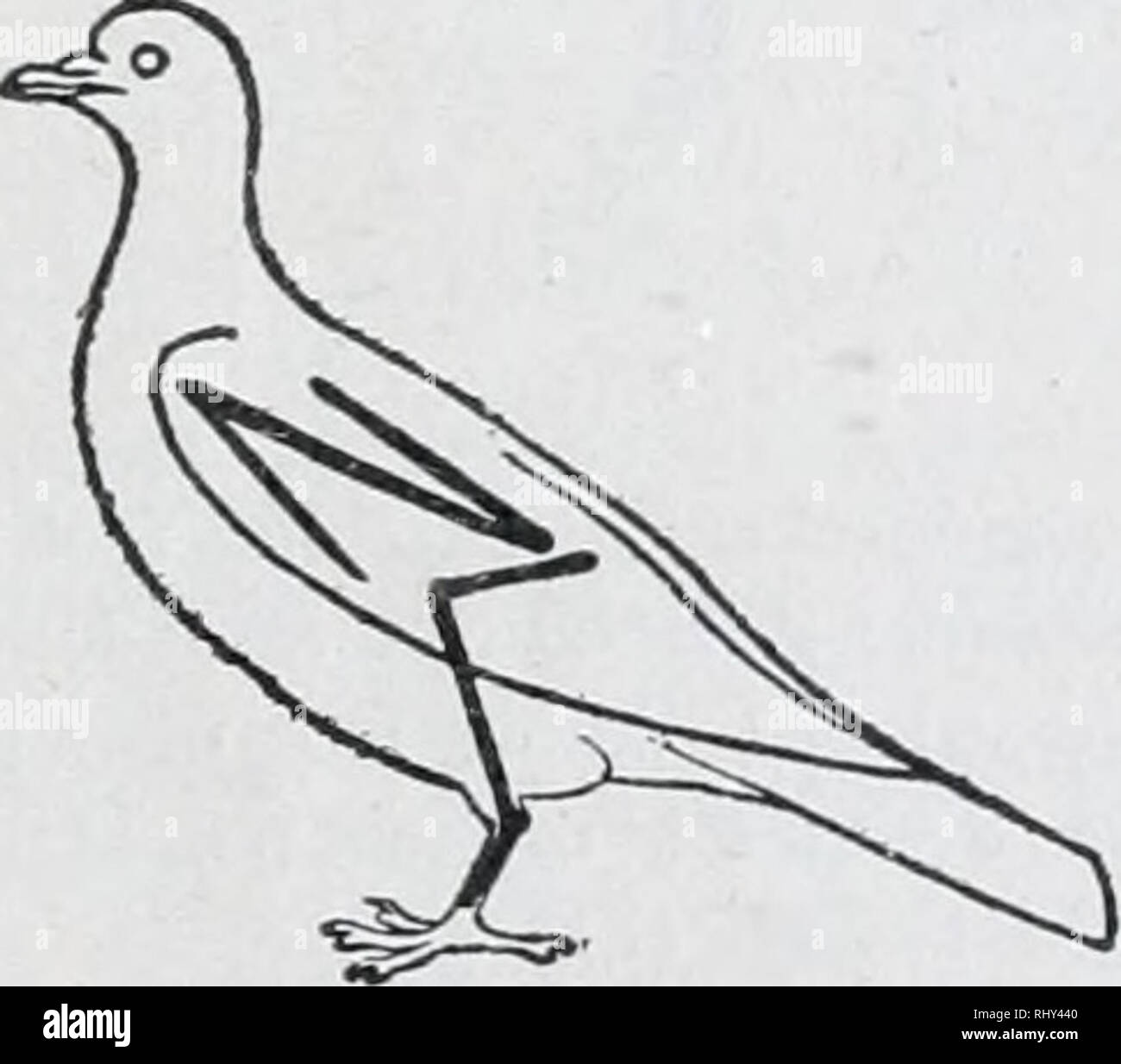 What does it mean to be called base? Leia aqui What does it mean to