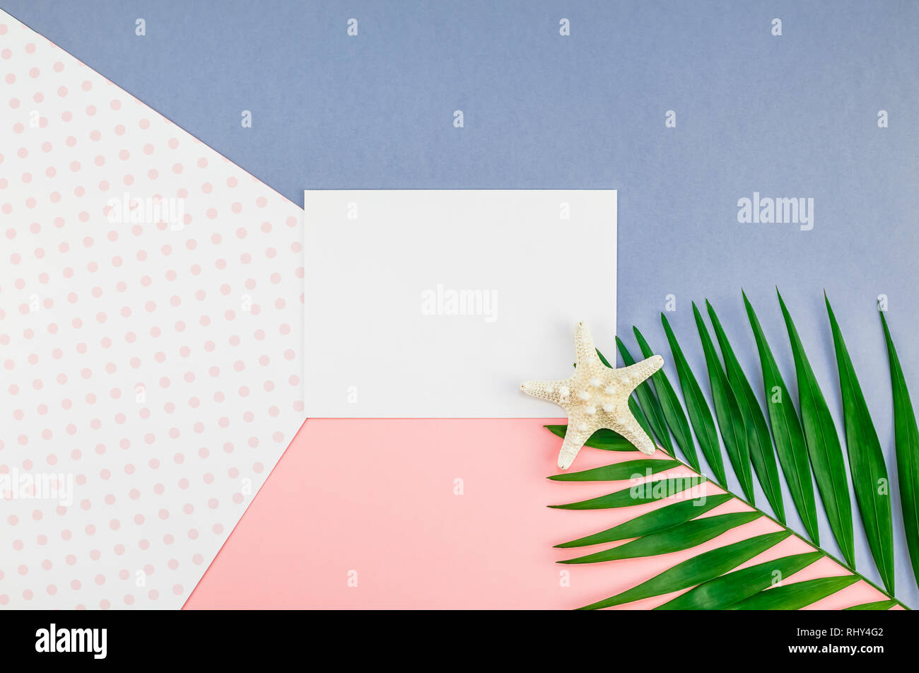 Creative flat lay top view mock up green tropical palm leaves coconuts ...