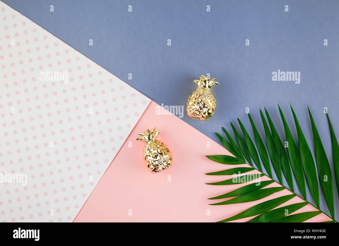 Creative flat lay top view of green tropical palm leaves on color paper ...