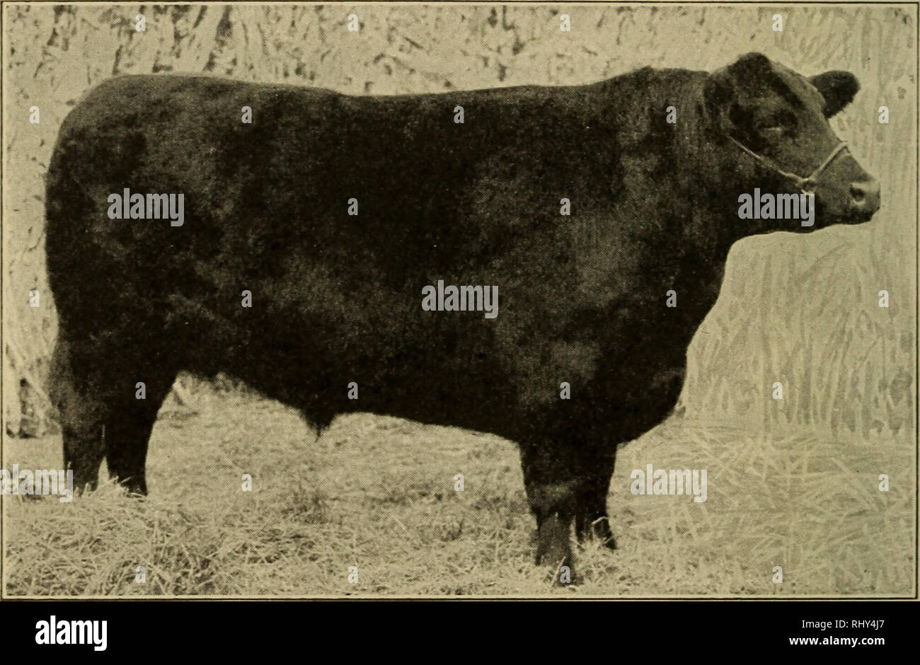 . Beginnings in animal husbandry. Livestock; Poultry. 120 BEGINNINGS IN