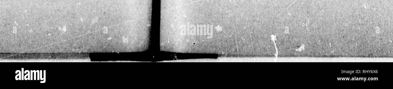 Cae Black And White Stock Photos Images Alamy