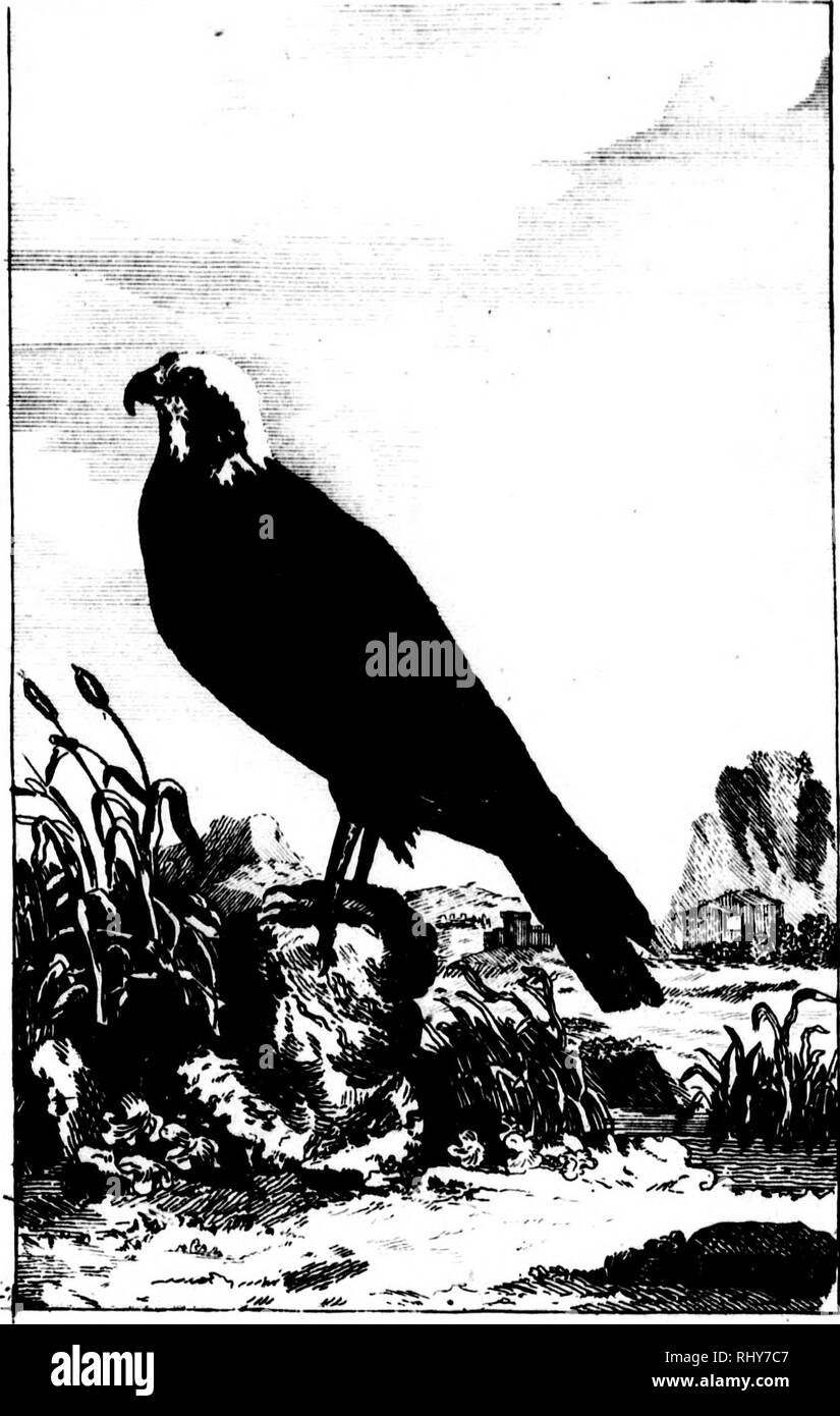 Aj 1 Black And White Stock Photos Images Page 2 Alamy