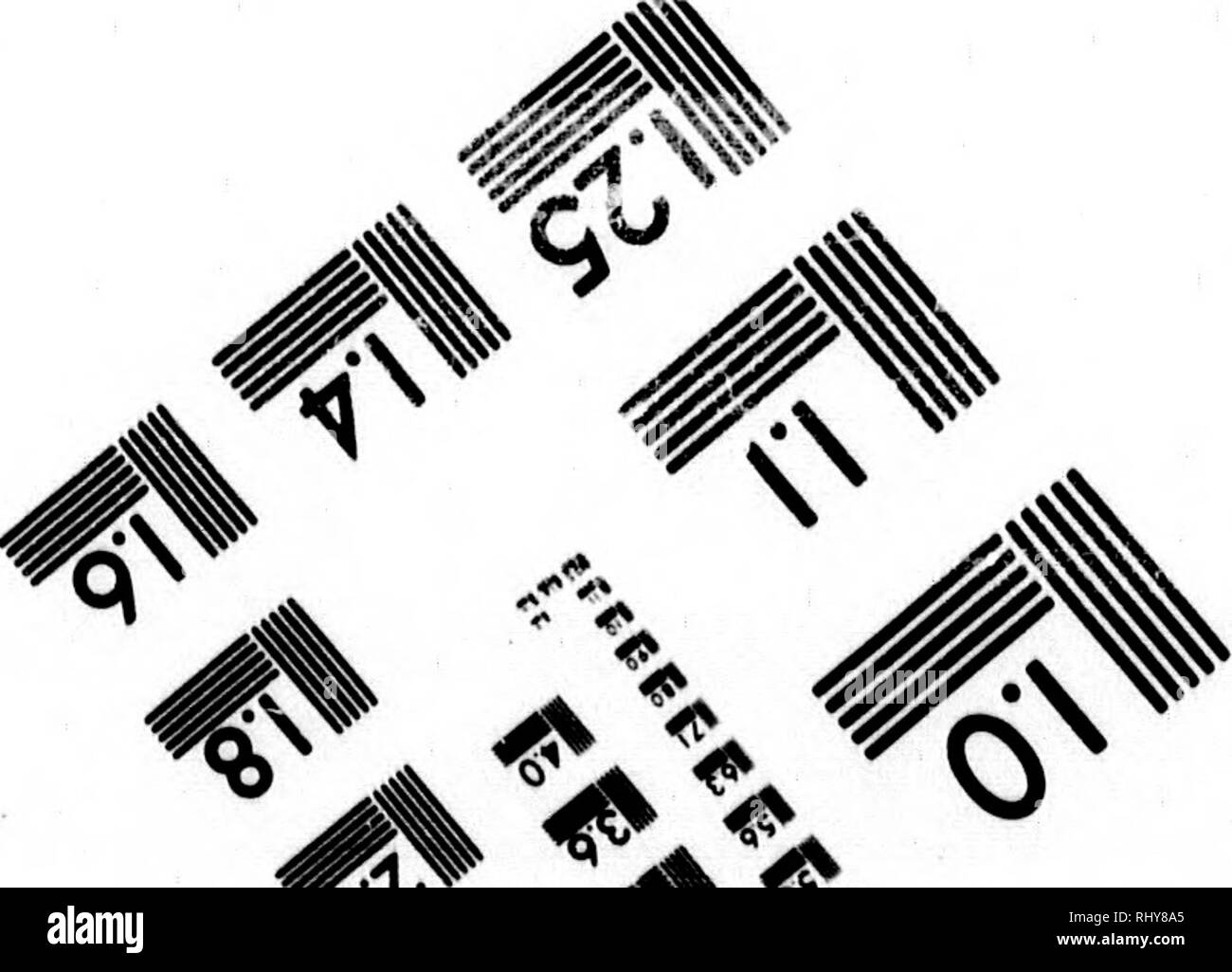 Centennial Photographic Stock Photos Centennial - 