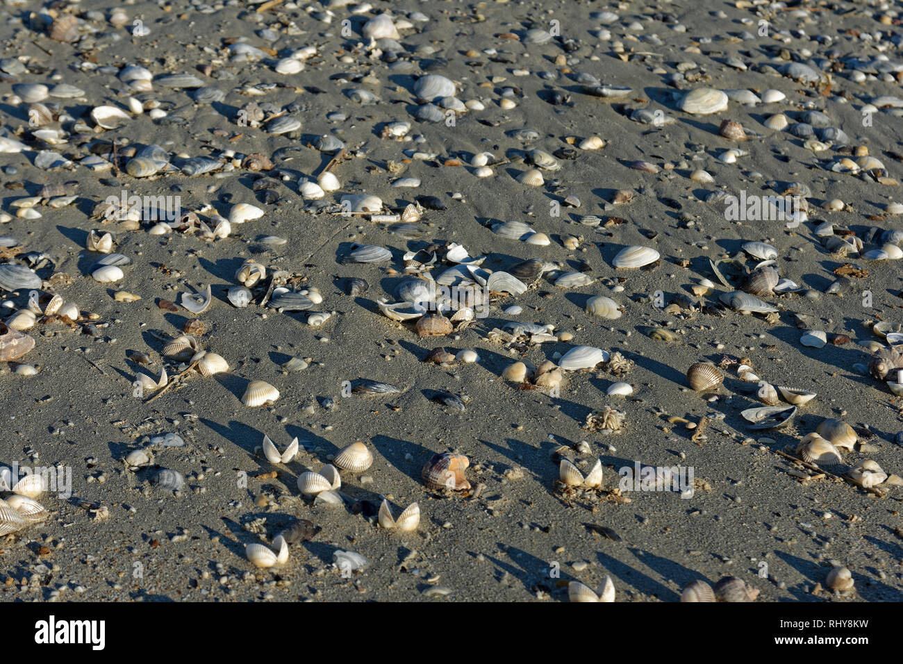 Winter Seaside, Constanta, Romania Stock Photo