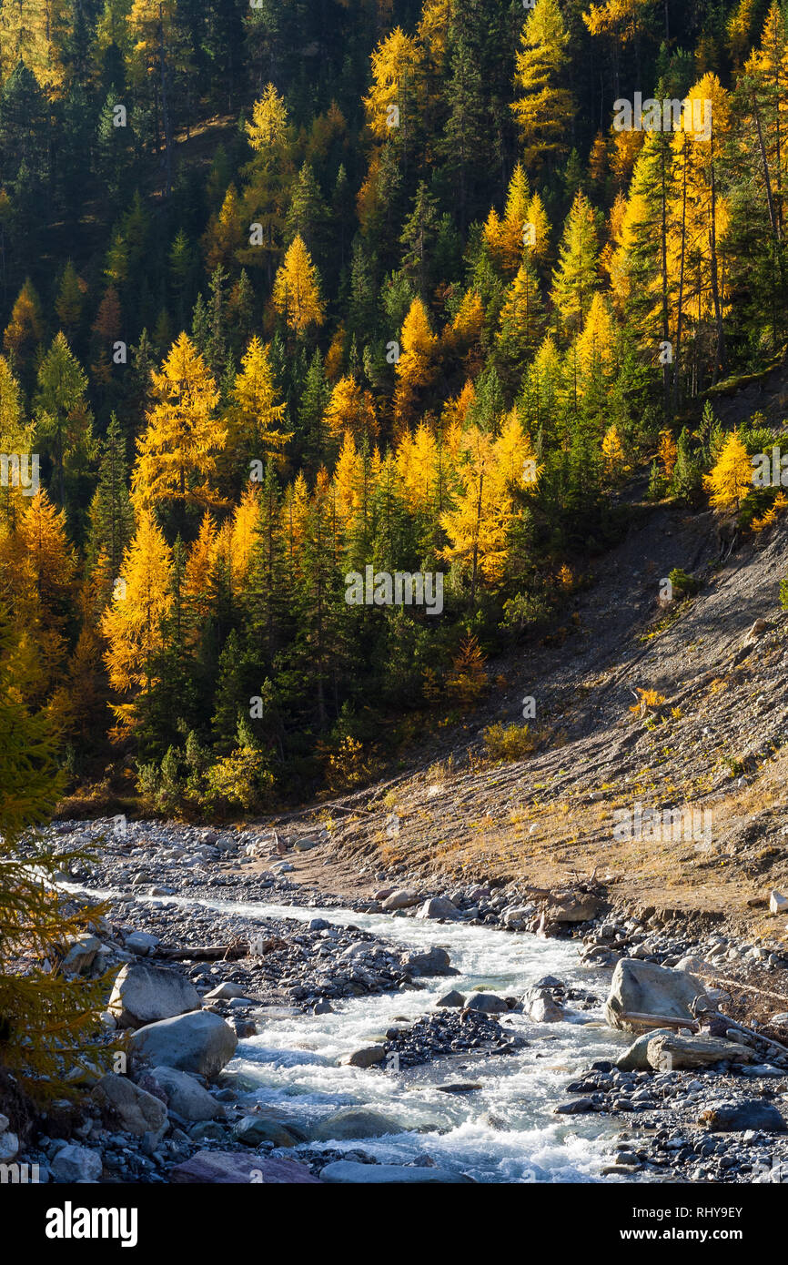 a prestine valley in the Swiss National Park Stock Photo