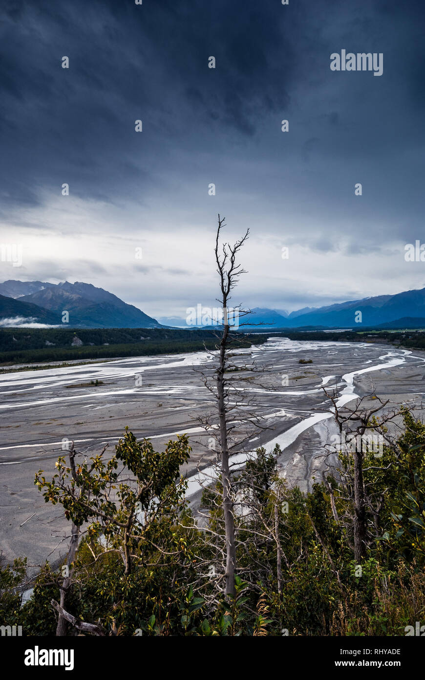 a wild river bed in the wilderness of Denali National Park Stock Photo