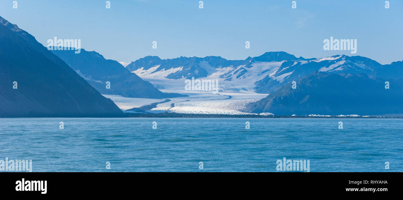 Glaciar bear hi-res stock photography and images - Alamy