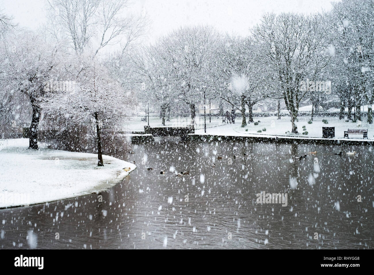 Heavy snowfall in Trenance Park in Newquay in Cornwall. Stock Photo
