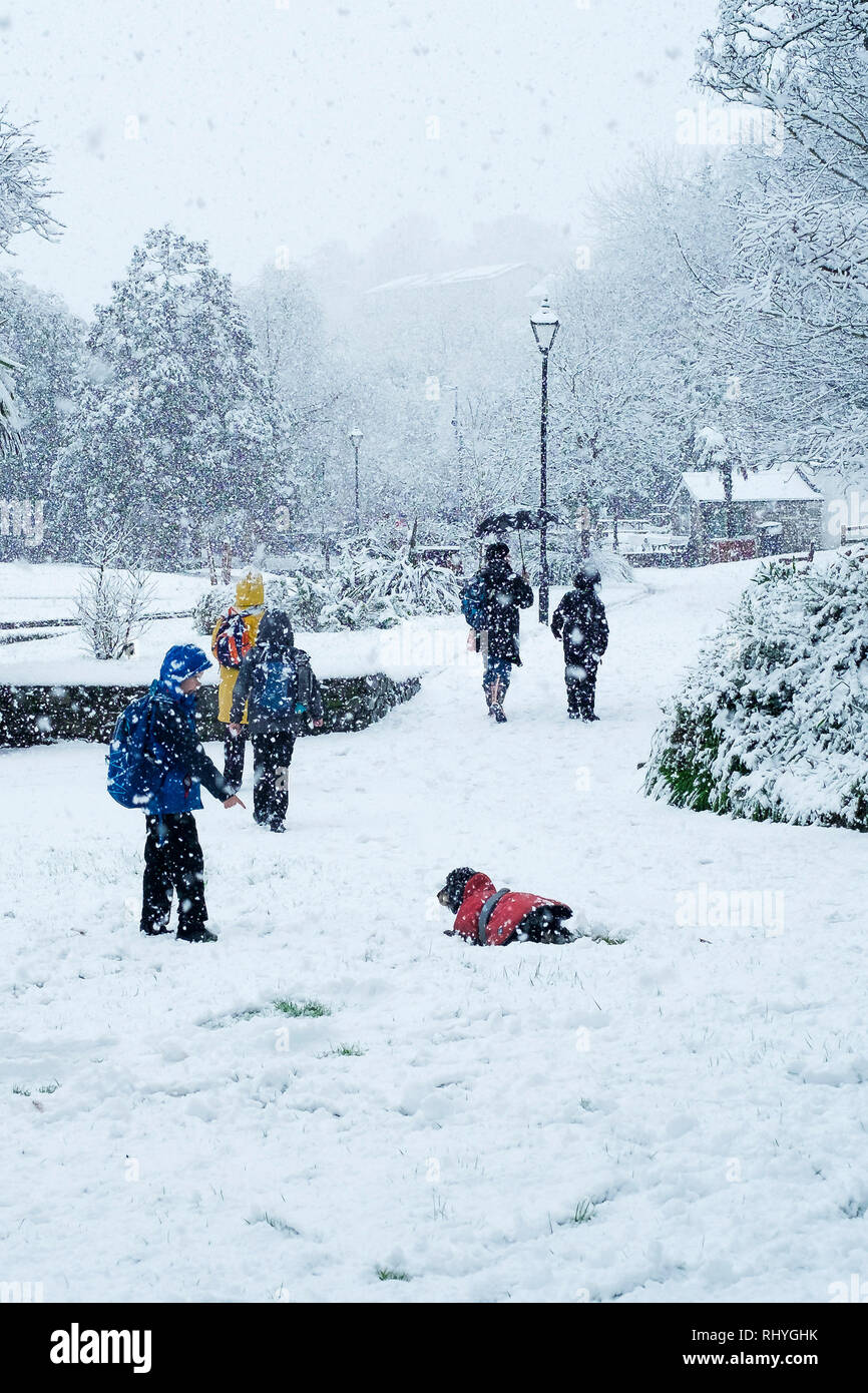 People walking their dog through Trenance Gardens in heavy snowfall in Newquay in Cornwall. Stock Photo