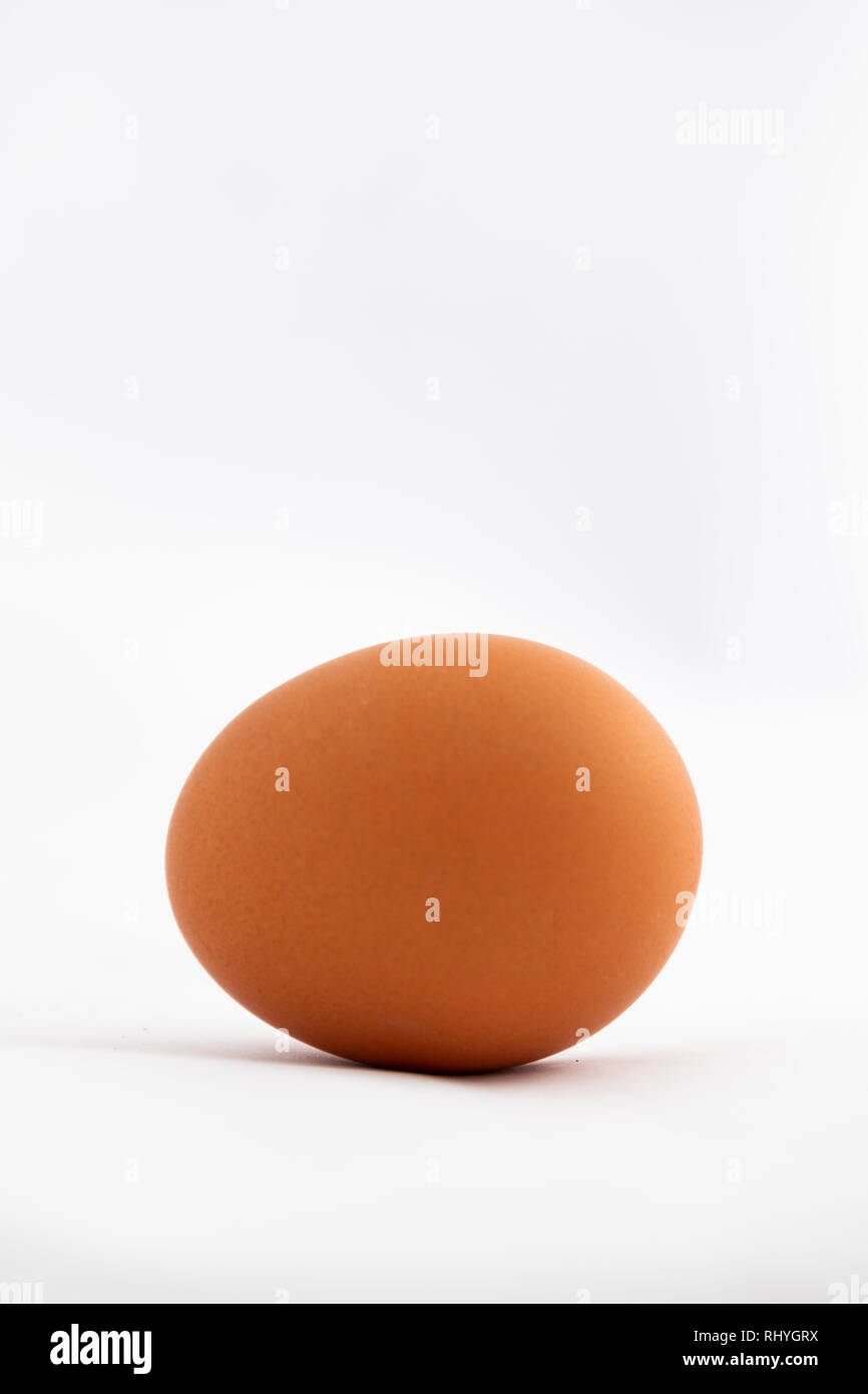 Single Chicken Egg Studio Shot Image on white background Stock Photo