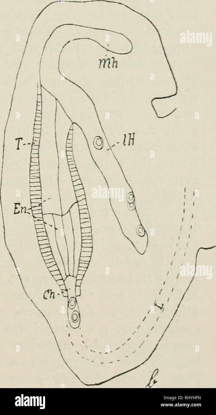 Auf Und Ab Stock Photos Auf Und Ab Stock Images Page 11 Alamy