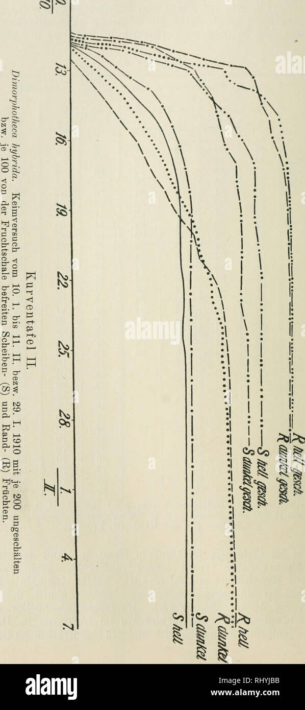 Keimung High Resolution Stock Photography and Images Alamy