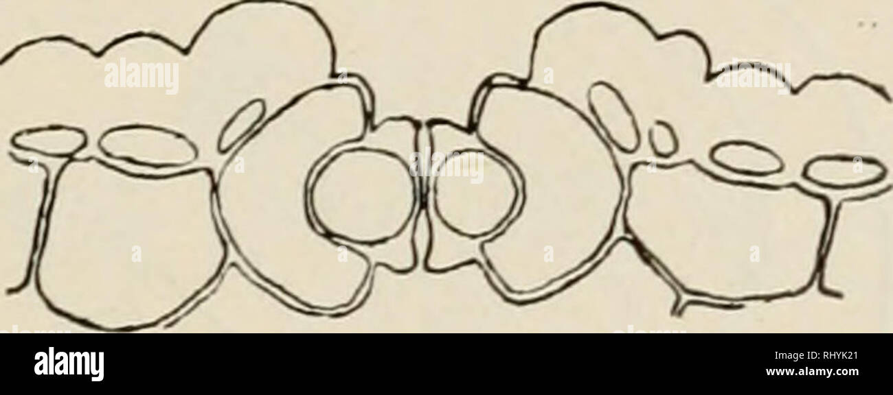 Page 3 Hal O High Resolution Stock Photography And Images Alamy Page 3 Hal O High Resolution Stock Photography And Images Alamy