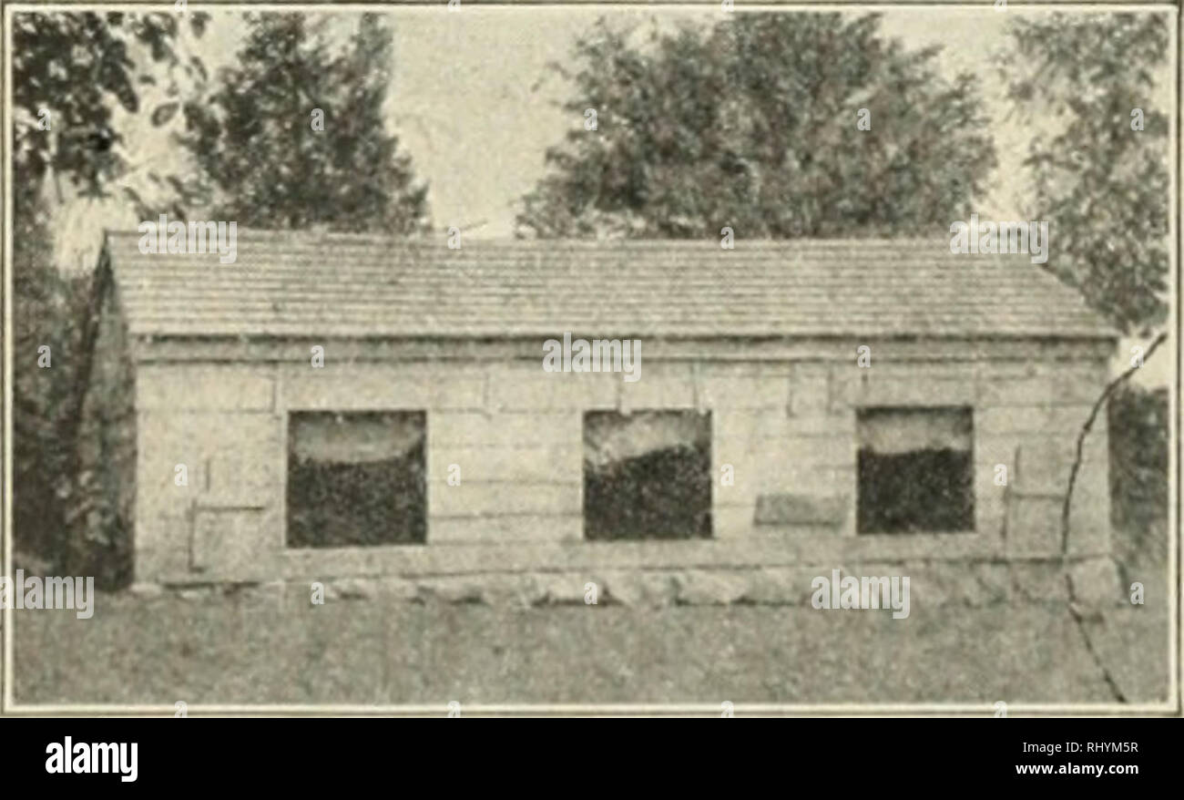 Beginnings In Animal Husbandry Livestock Poultry Trap F Door