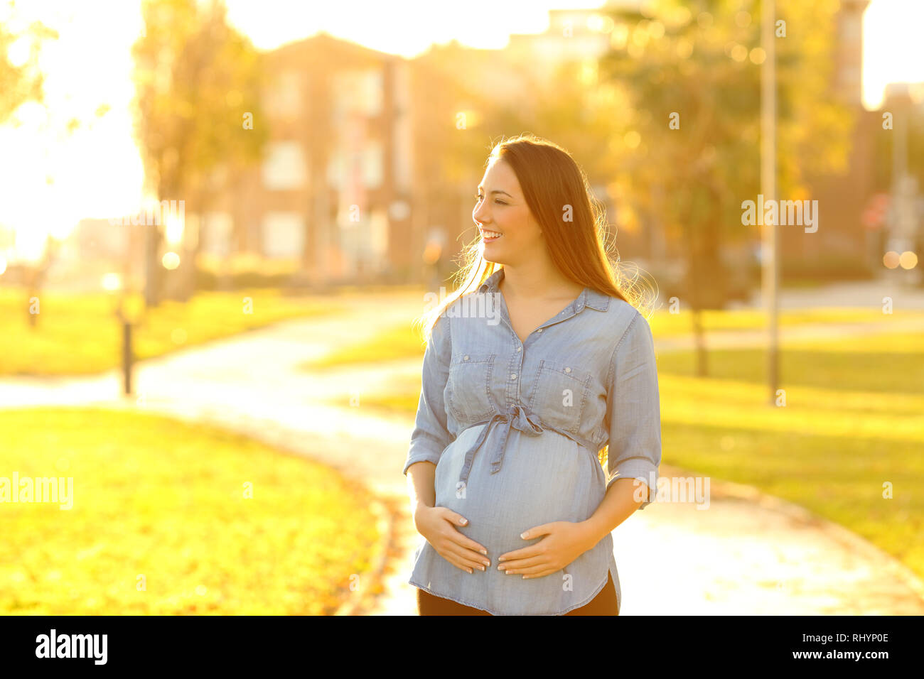 Front view portrait of a happy pregnant woman looking at side walking in a park at sunset Stock Photo