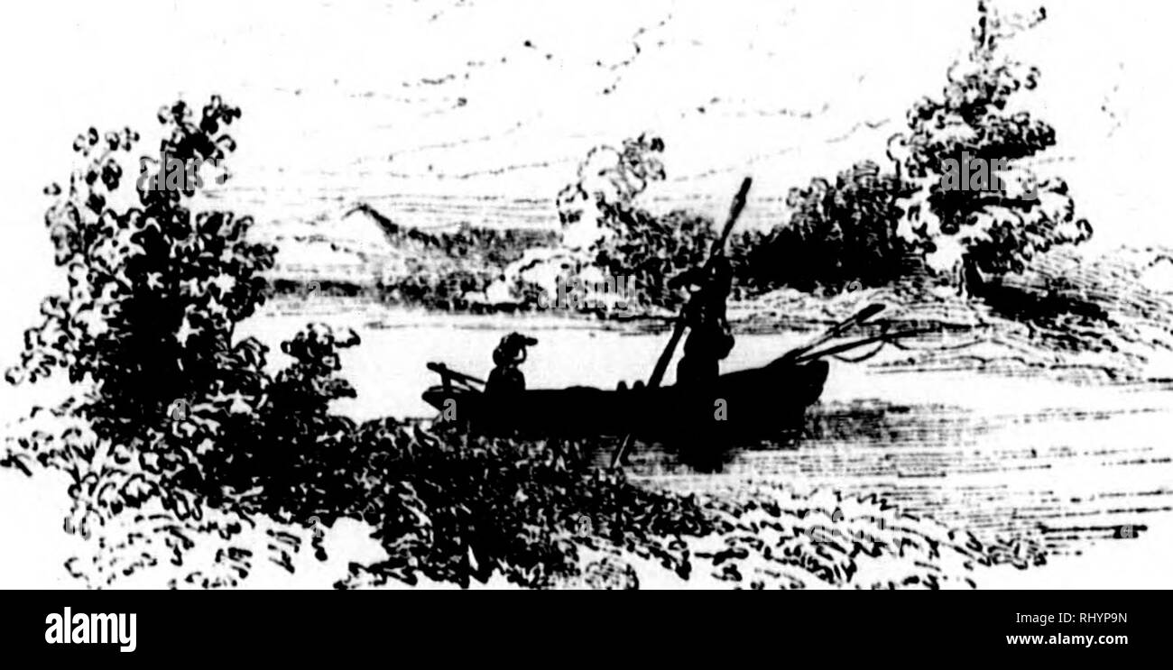 . Frank Forester's fish and fishing of the United States and British provinces of North America [microform] illustrated from nature by the author. Fishing; Fishes; PÃªche sportive; Poissons. ply for ible I re- , im- :erly, wo or His Bass, urc as jpised, i tben d alike c takes t, shell radiant, of that ave just : of the he head ^eartfelt on him, BLACK HASH KlsHINr.. 307 life, which, whun unfolded, will prove that he is not unregarded by Him who made the great whales and the fishes of the sea. &quot; His mouth is paved with large, flat, rough bones, or teeth, like those of the sou fishes that ro Stock Photo