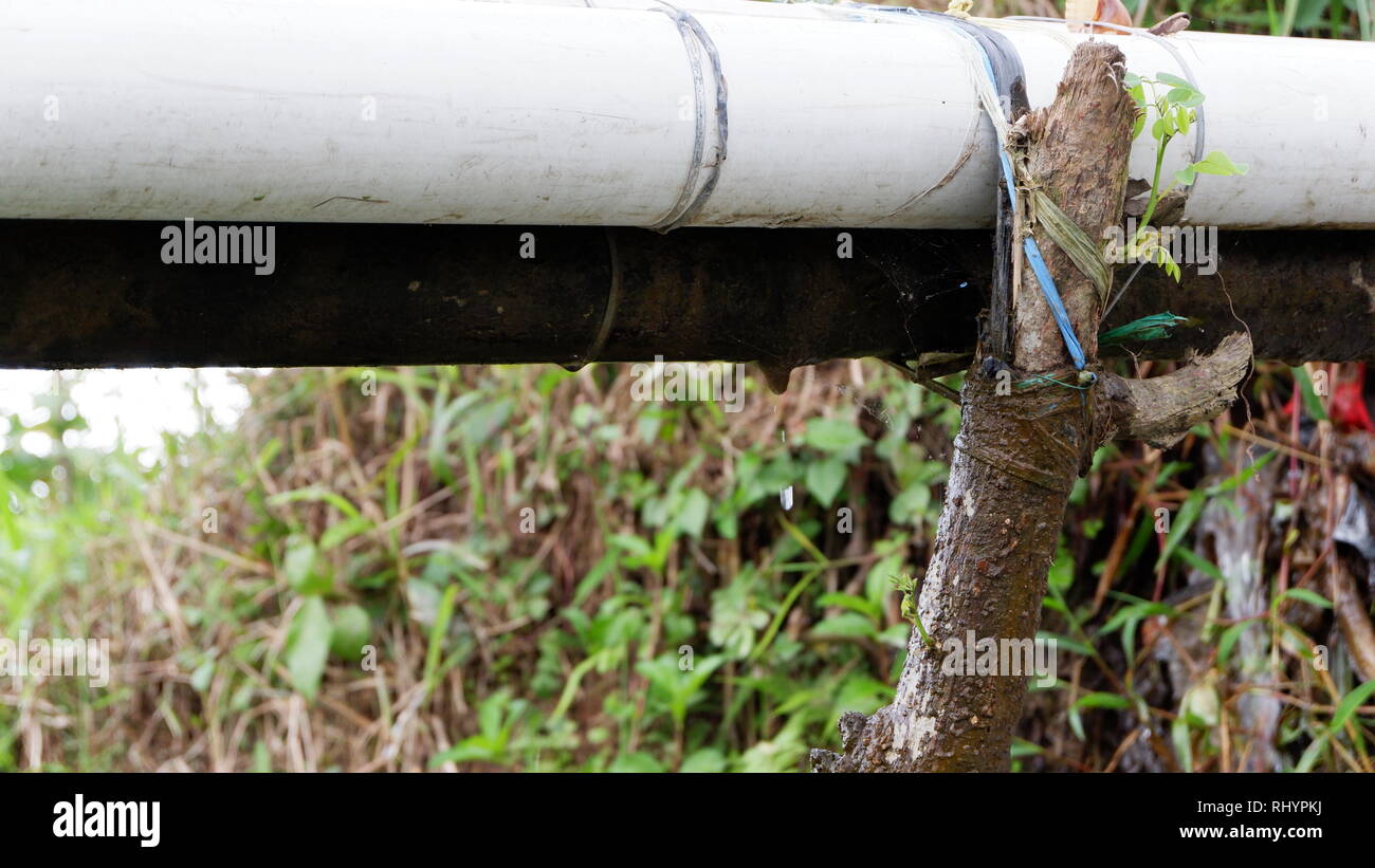 leaky drinking water pipe Stock Photo