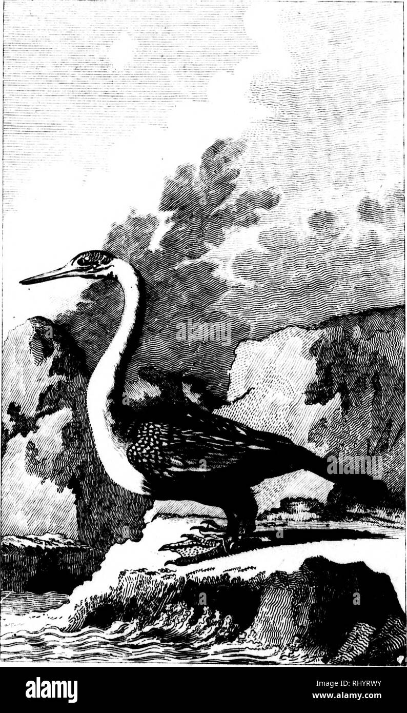 Li I Black And White Stock Photos Images Page 2 Alamy